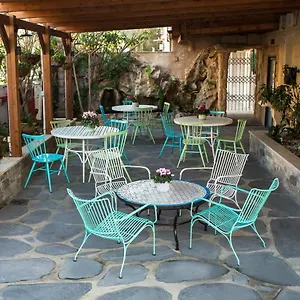 https://seashell-hotel.gethaifahotels.com